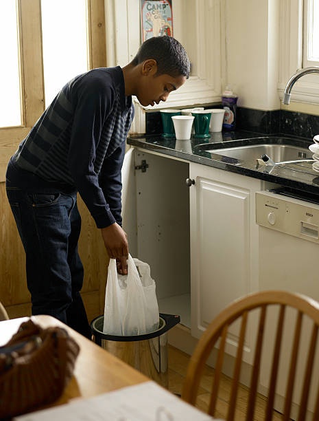 Best Electronics Removal Services  in Dixmoor, IL